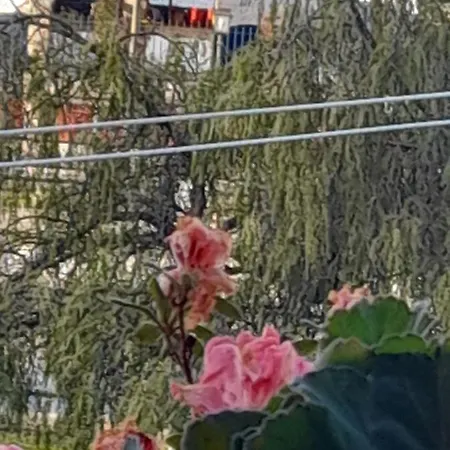 Tm Corfu Town Port Suite Appartement